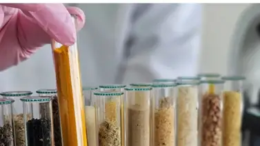 Test genéticos aplicados al adelgazamiento Test genéticos aplicados al adelgazamiento