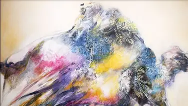 Reset Gallery Reset Gallery