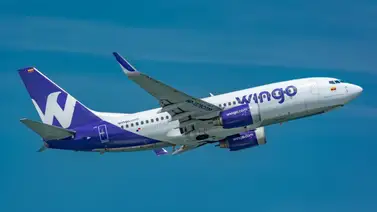 Wingo programa reactivación de vuelos entre Medellín y Caracas: frecuencias y fechas Wingo programa reactivación de vuelos entre Medellín y Caracas: frecuencias y fechas