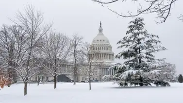 washington washington