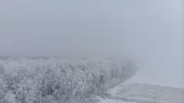 Norte de Texas paralizado: tormenta invernal obliga al cierre masivo de colegios