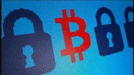 Cae en San Cristóbal integrante de red internacional de estafas: así operaba “Generación Zoe” 