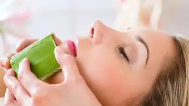 ¿Cómo aplicar el aloe vera en el rostro? Entérate aquí ¿Cómo aplicar el aloe vera en el rostro? Entérate aquí