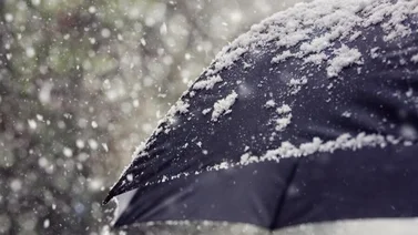 Tormenta invernal Nueva York