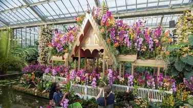 Turismo de orquídeas en la exhibición del Real Jardín Botánico de Londres Turismo de orquídeas en la exhibición del Real Jardín Botánico de Londres