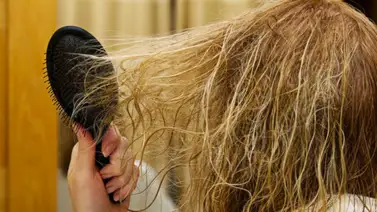Dile adiós al cabello dañado con esta efectiva mascarilla natural Dile adiós al cabello dañado con esta efectiva mascarilla natural