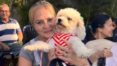 Anuncian jornada de atención gratuita de mascotas en Petare