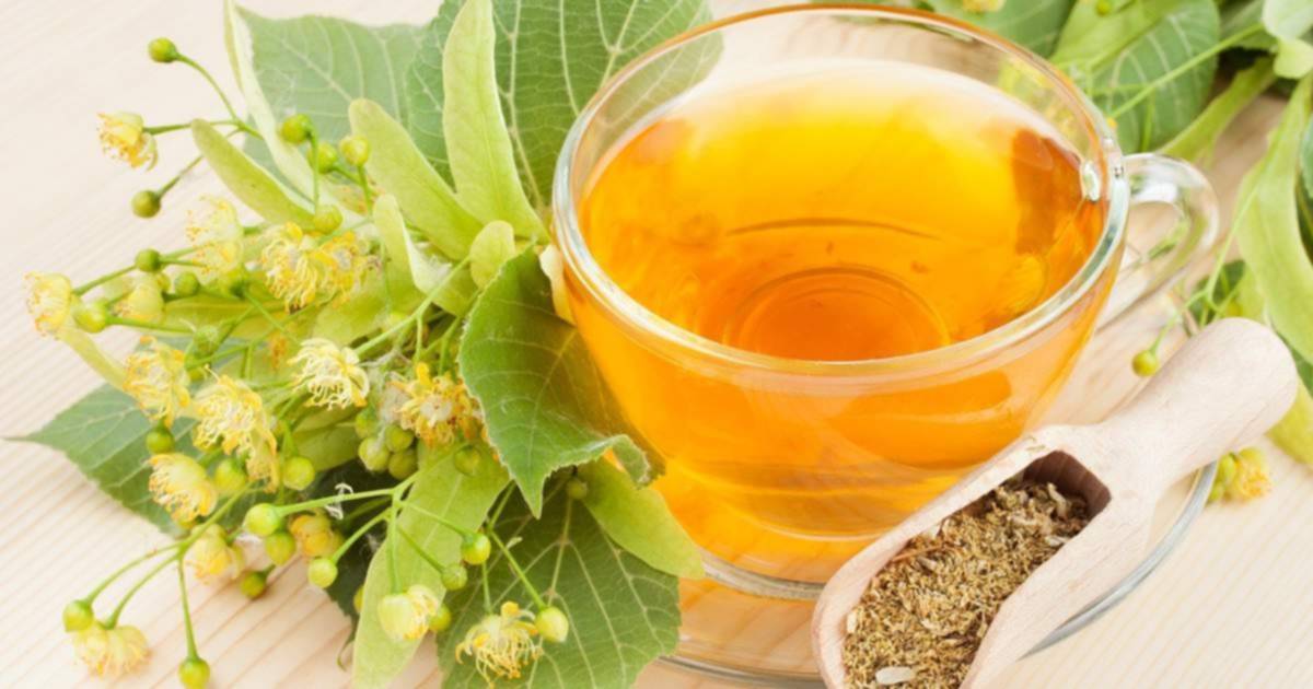Comer temprano y beber este té ayuda a tener un sueño reparador Comer temprano y beber este té ayuda a tener un sueño reparador