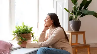 Ideas para que aprendas a purificar el aire dentro del hogar Ideas para que aprendas a purificar el aire dentro del hogar