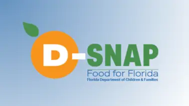 SNAP Florida SNAP Florida