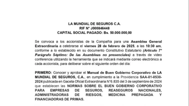 LA MUNDIAL DE SEGUROS C.A. CONVOCATORIA 10 FEB 25