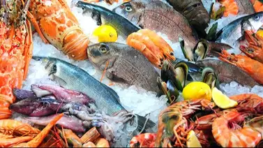 Estudio revela cuáles son los frutos del mar que contienen más microplásticos Estudio revela cuáles son los frutos del mar que contienen más microplásticos