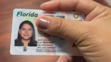 Redadas ICE: ¿Tu licencia de conducir en Florida sirve para mostrar tu estatus migratorio? Redadas ICE: ¿Tu licencia de conducir en Florida sirve para mostrar tu estatus migratorio?