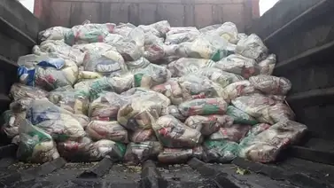 Bolsas CLAP : Datos que se deben entregar para recibir el beneficio Bolsas CLAP : Datos que se deben entregar para recibir el beneficio