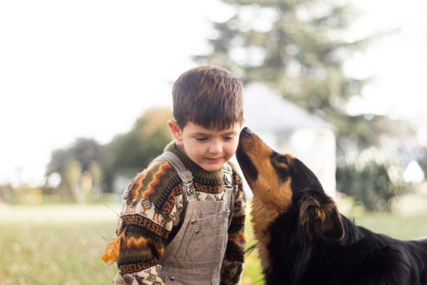 Mejores mascotas para un niño con enfermedades neurodegenerativas