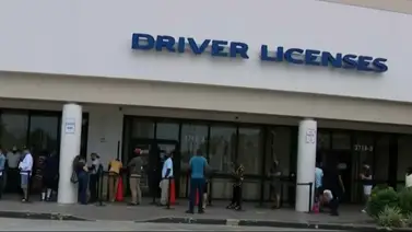 miami-dade-licencia-de-conducir  miami-dade-licencia-de-conducir