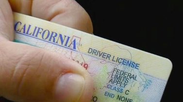 Licencia de conducir en California: Cinco requisitos que debes cumplir para obtenerla si eres extranjero 