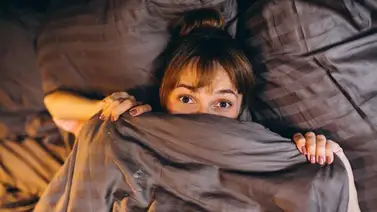 Evita desvelos nocturnos con esta infusión medicinal rica en melatonina Evita desvelos nocturnos con esta infusión medicinal rica en melatonina