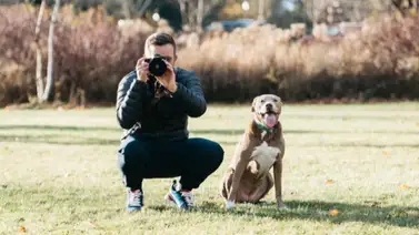 Neoyorquino renunció a su trabajo para emprender una aventura con su mascota Neoyorquino renunció a su trabajo para emprender una aventura con su mascota