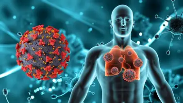 Refuerza el sistema inmunológico con esta infusión medicinal Refuerza el sistema inmunológico con esta infusión medicinal