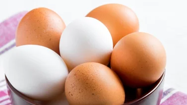 Gripe aviar sigue provocando escasez de huevos en USA: Así puedes congelarlos para que te duren hasta un año
