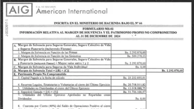 FORMULARIO MS-02  AIG C.A. DE SEGUROS 24 FEB 2025
