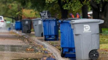 Suspenden recolección de basura en Dallas debido al hielo: Sepa cuándo se reactivará