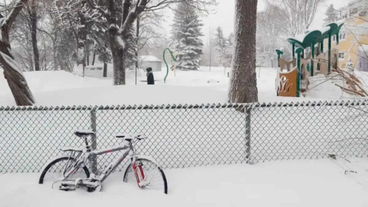 escuelas retrasos virginia ola de frío polar usa estados unidos frío extremo nieve nevada
