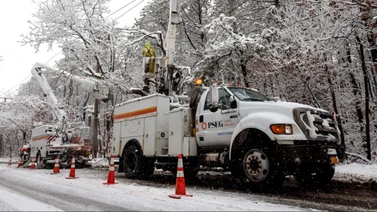 factura electricidad ayuda adultos mayores PSEG Long Island