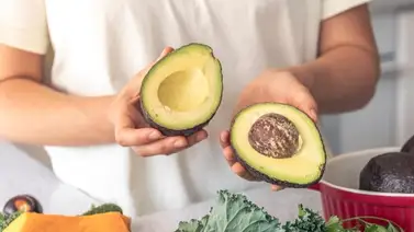 ¿Sabías que el aguacate favorece la erección? ¡Te contamos! ¿Sabías que el aguacate favorece la erección? ¡Te contamos!