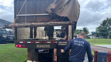 Capturados infraganti: Nueve vehículos iban cargados con más de 10 toneladas de marihuana