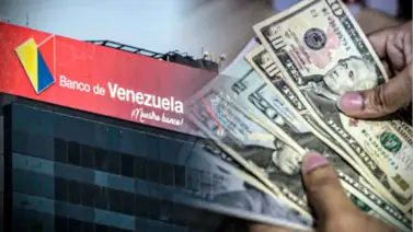 Sepa cómo comprar dólares a tasa BCV en el Banco de Venezuela: Con límite de retiro de $200 por cliente Sepa cómo comprar dólares a tasa BCV en el Banco de Venezuela: Con límite de retiro de $200 por cliente