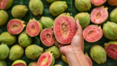 ¿Qué tipo de enfermedades cura la guayaba? Esto dice la ciencia