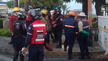 Ataque de abejas en Barquisimeto: Hay 14 lesionados recibiendo atención médica Ataque de abejas en Barquisimeto: Hay 14 lesionados recibiendo atención médica