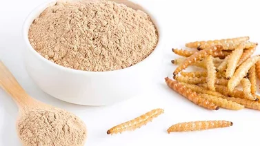 Harina de gusano: ingrediente autorizado a ser usado en los alimentos