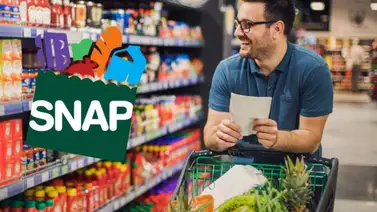 pagos SNAP Marzo pagos SNAP Marzo