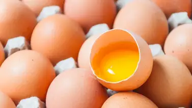 Guía de alimentos con los que puedes sustituir el huevo  Guía de alimentos con los que puedes sustituir el huevo