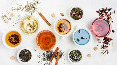 Conoce cuál es la planta que desinflama el cuerpo rápidamente Conoce cuál es la planta que desinflama el cuerpo rápidamente