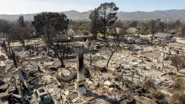 california incendios los ángeles aseguradora seguros millones afectados california incendios los ángeles aseguradora seguros millones afectados