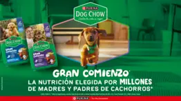 Dog Show - purina
