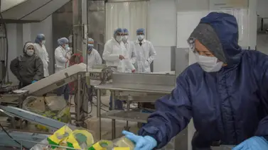 Macdonald's-UCV Macdonald's-UCV