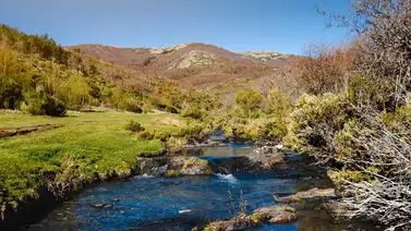 2001online - usa - Rosswell  2001online - usa - Rosswell