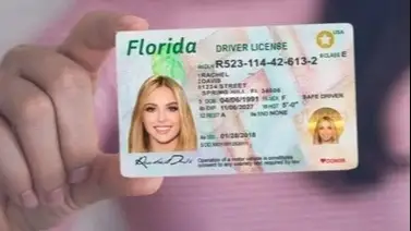 licencia-conducir-florida-estafas licencia-conducir-florida-estafas