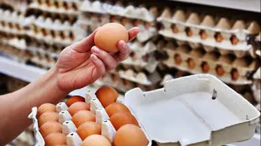 CBP impone multas de hasta 10 mil dólares por ingresar productos Estados Unidos: Huevos, pollo y aves vivas están prohibidos CBP impone multas de hasta 10 mil dólares por ingresar productos Estados Unidos: Huevos, pollo y aves vivas están prohibidos