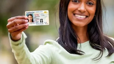 california-licencia-conducir-primera vez 