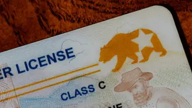 REAL-ID-LICENCIA-DE--CONDUCIR REAL-ID-LICENCIA-DE--CONDUCIR