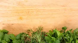 Entérate cómo esta planta aromática usada en la cosmética: favorece la circulación y la memoria