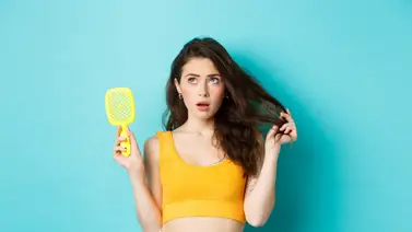 La hortaliza rica en vitaminas que frena la caída del cabello: esta es la cantidad exacta que debes consumir al día La hortaliza rica en vitaminas que frena la caída del cabello: esta es la cantidad exacta que debes consumir al día