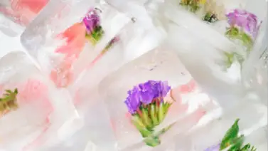 Infusiones congeladas para cada tipo de piel: belleza casera bajo cero Infusiones congeladas para cada tipo de piel: belleza casera bajo cero