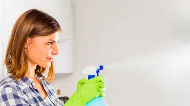 ¡Solución milagrosa y efectiva!: Esto es lo que necesitas para eliminar los huevos de cucarachas y erradicarlas de tu hogar ¡Solución milagrosa y efectiva!: Esto es lo que necesitas para eliminar los huevos de cucarachas y erradicarlas de tu hogar